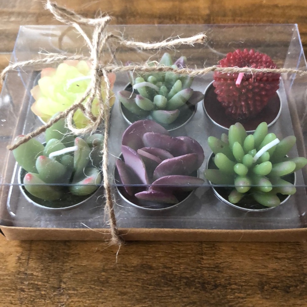 Cactus candles